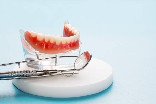 Best Dental Exams and Cleanings  in West Columbia, SC